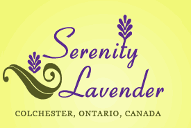 Serenity Lavender Farm