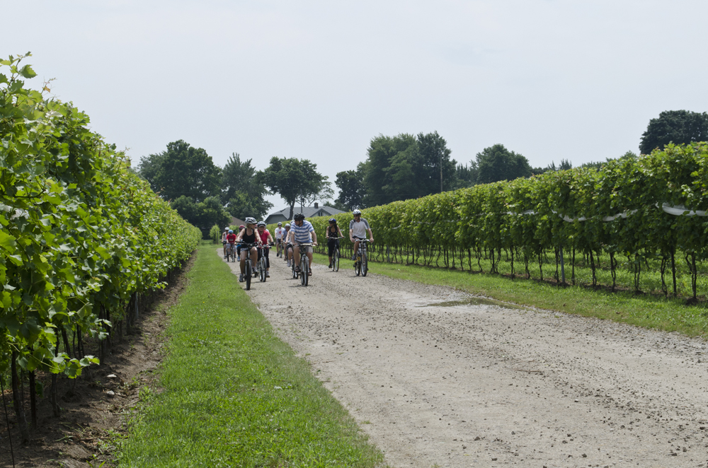 Wine Trail Ride cycling tour 