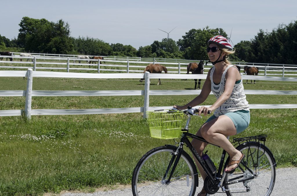 Go on a self-guided Wine Trail Ride