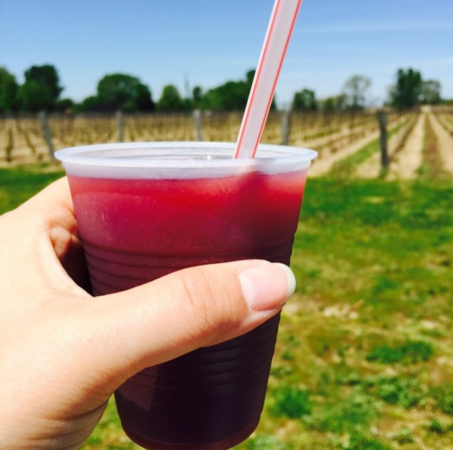 How can you pass up the chance for a wine slushie?