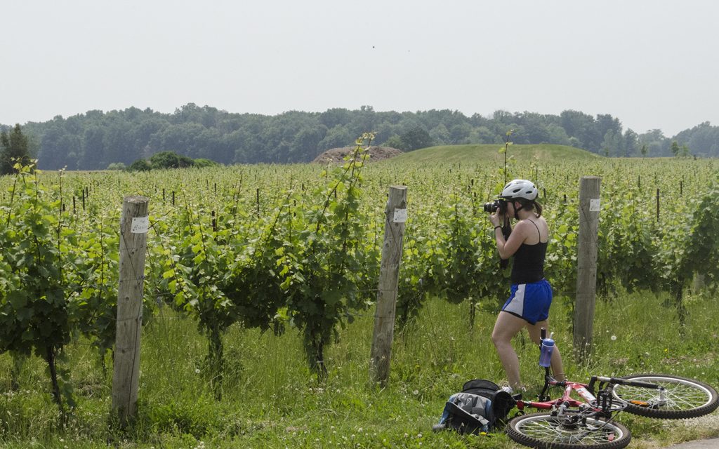 A cyclist takes a stop to photograph the scenery on a Wine Trail Ride cycling tour through the Lake Erie North Shore.