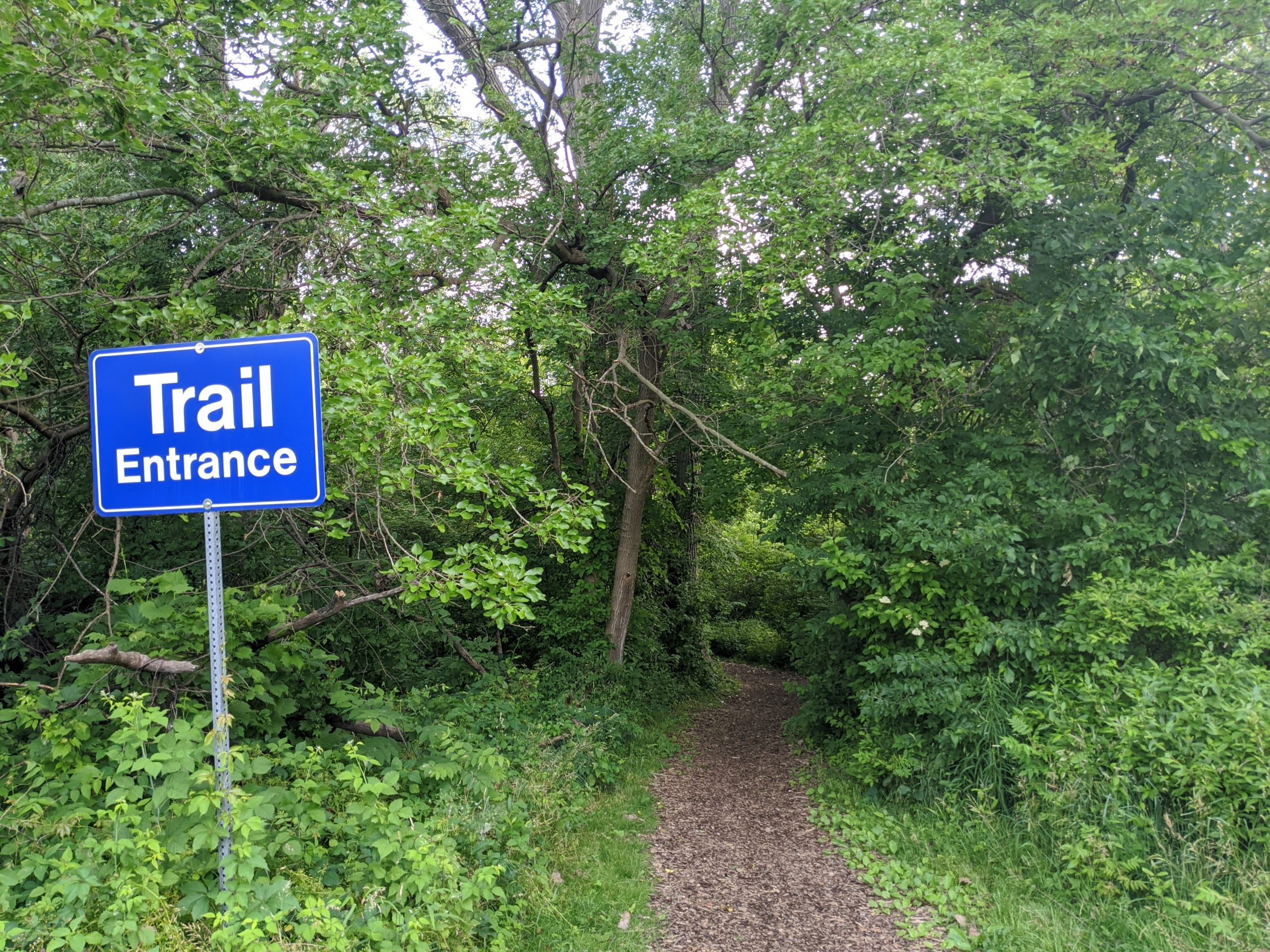9 Incredible Trails You Need To Enjoy in WindsorEssex